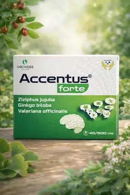 BAD ACCENTUS forte 500 mg 40 dona  uyqusizlik va asab tizimini yaxshilovchi kapsula