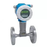 Расходомер (вихревой) Endress+Hauser Proline Prowirl 72 F/W