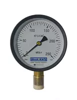 MP3-Um bosim olchagichi  0…250 kg/sm² (232852-modda)