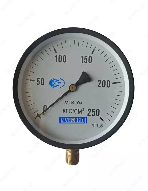 MP4-Um bosim olchagichi (naycha shaklida)  0…250 kg/sm² (232883-modda)