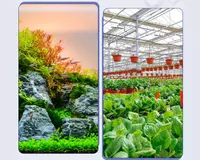  PVXT trubka d 6 00 mm (devor qalinligi 0 6 mm) Chakana savdo