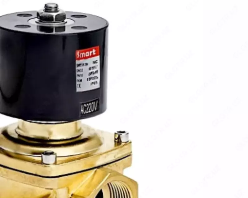  DN40 elektromagnit klapan SMART SM55637 - 