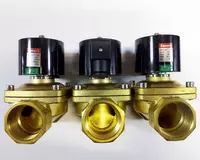   DN40 elektromagnit klapan SMART SM55637