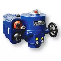  Rotork chorak aylanishli elektr aktuatorlari (EAM) (1192544-modda) - 