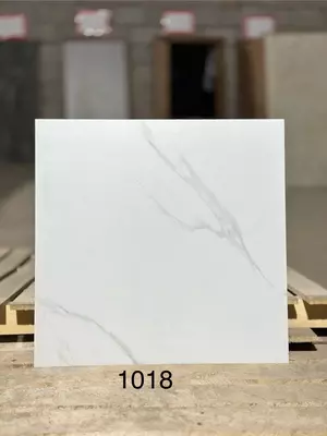 Керамогранитная плитка 60х60