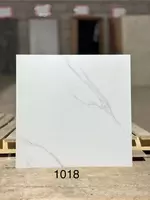 Керамогранитная плитка 60х60