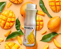 Топпинг Richeza Манго - 110 000 сум