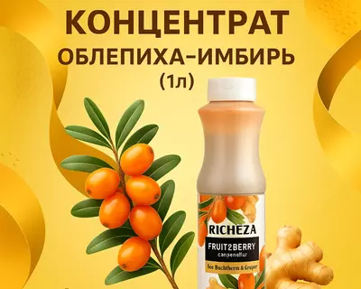 Концентрат RiCHEZA Облепиха- имбирь