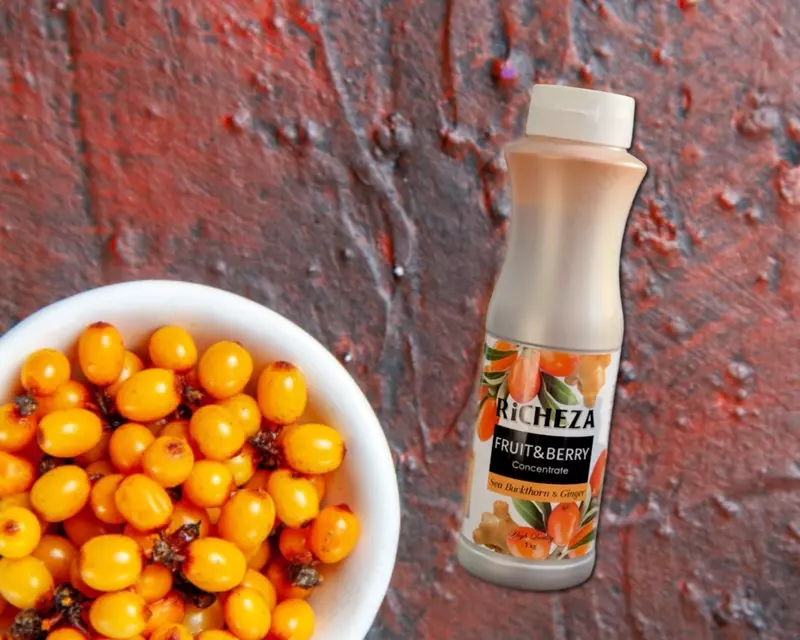Концентрат RiCHEZA Облепиха- имбирь - 135 000 сум