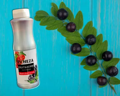 135 000 сум / шт Концентрат RiCHEZA Смородина