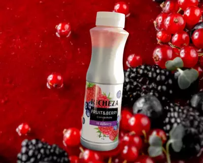 Концентрат RiCHEZA Лесные Ягоды Richeza