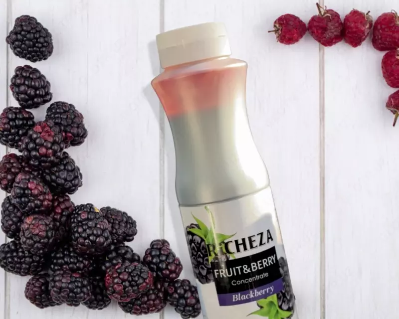 Концентрат RiCHEZA Ежевика Только в розницу