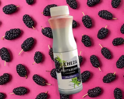 Концентрат RiCHEZA Ежевика Richeza