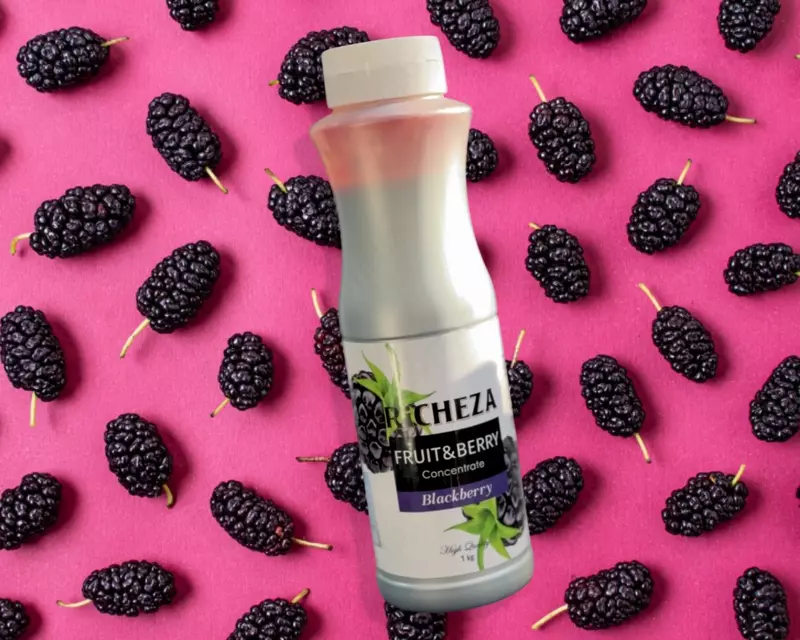 Концентрат RiCHEZA Ежевика Richeza