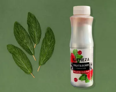Концентрат RiCHEZA Ягода-Базилик - 135 000 сум / шт
