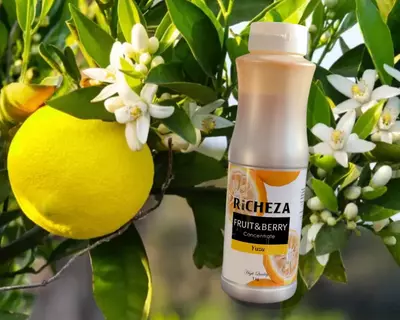 Концентрат RiCHEZA Юзу - 135 000 сум / шт