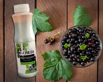 135 000 сум / шт Концентрат RiCHEZA Смородина
