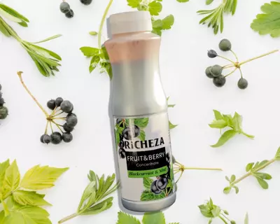 Концентрат RiCHEZA Смородина Только в розницу