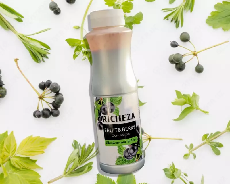 Концентрат RiCHEZA Смородина Только в розницу