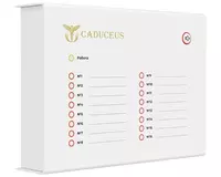 по запросу Устройства контроля и распределения медгазов CADUCEUS