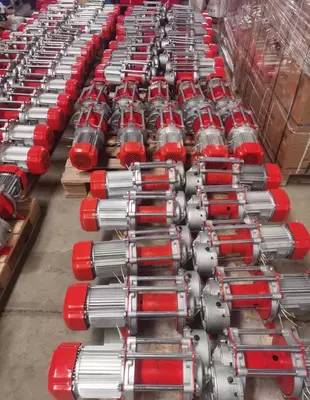 Elektr telfer 300 kg