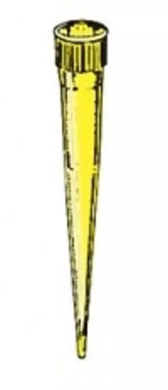 БАЗОВАЯ СТАНЦИЯ - от 60 000 сум