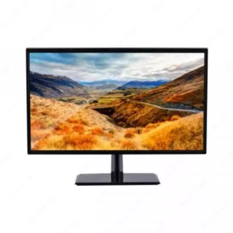 Монитор VESTA M1001 19D