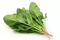 в рассрочку от 311 сум CUS Овощерезка и измельчитель SH30