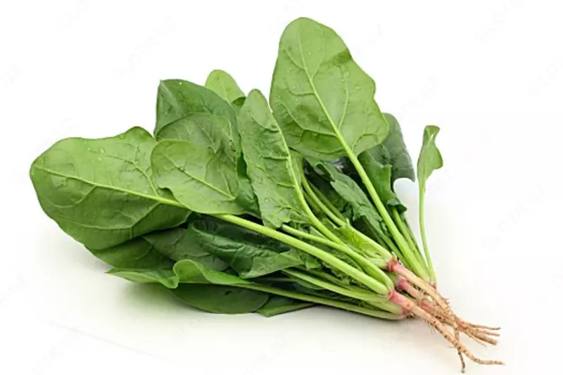 в рассрочку от 311 сум CUS Овощерезка и измельчитель SH30