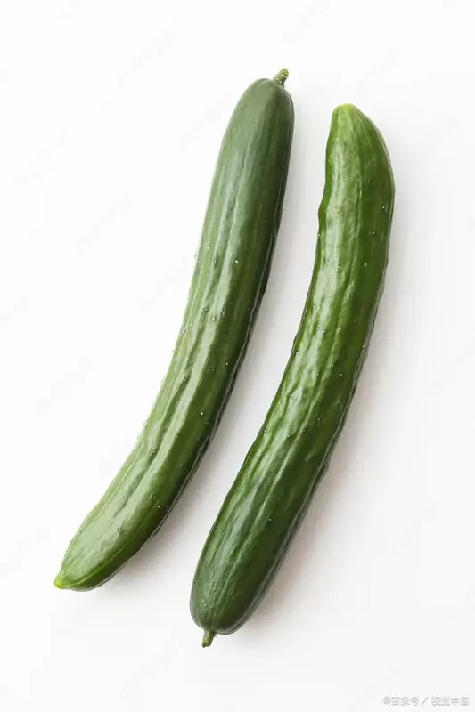 CUS Овощерезка и измельчитель SH30 В рассрочку