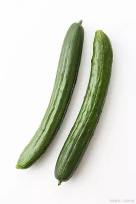 CUS Овощерезка и измельчитель SH30 В рассрочку