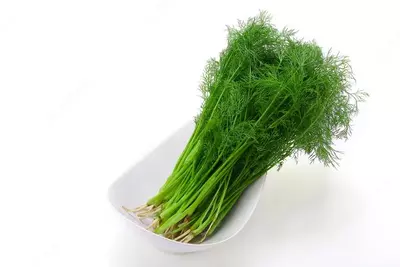 CUS Овощерезка и измельчитель SH30 CUS-GROUP