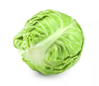 CUS Овощерезка для луковиц YQC180 - Цена по запросу