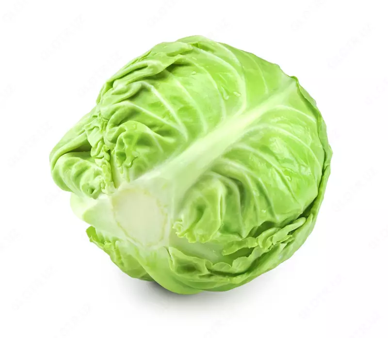 CUS Овощерезка для луковиц YQC180 - по запросу