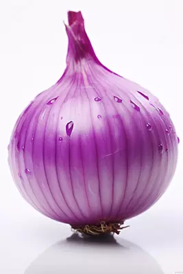 Цена по запросу CUS Овощерезка для луковиц YQC180