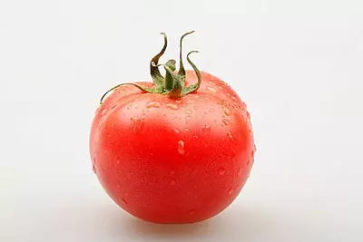 CUS Овощерезка для луковиц YQC180 Оптом и розница