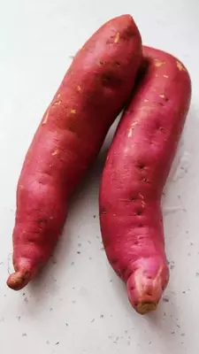 CUS Станок для резки полос QT100 Оптом и розница