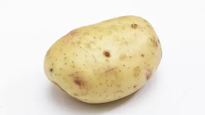 CUS Станок для резки полос QT100 - CUS-GROUP