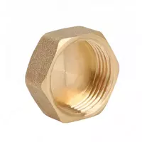 Заглушка ВР  латунная