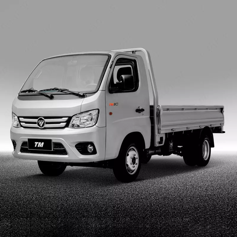 Foton Truck Mate 2 d1 ixcham yengil yuk mashinasi