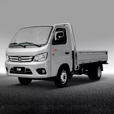Foton Truck Mate 2 d1