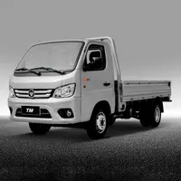 Foton Truck Mate 2 d1 ixcham yengil yuk mashinasi