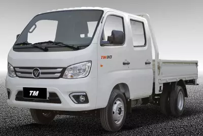 Foton Truck Mate 2 d2