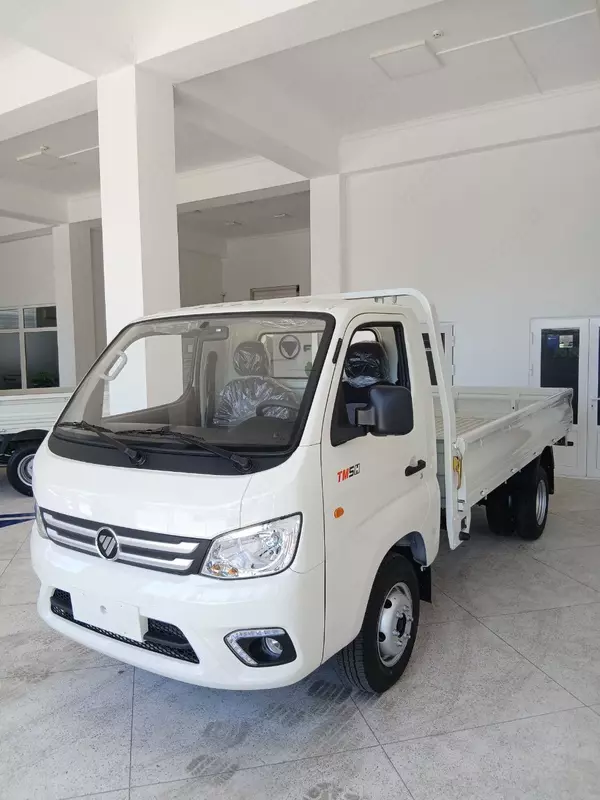 FOTON TRUCK MATE 2 D1