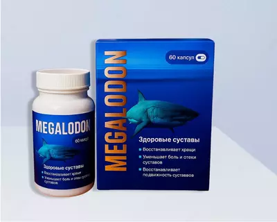 МЕГАЛОДОН Только в розницу