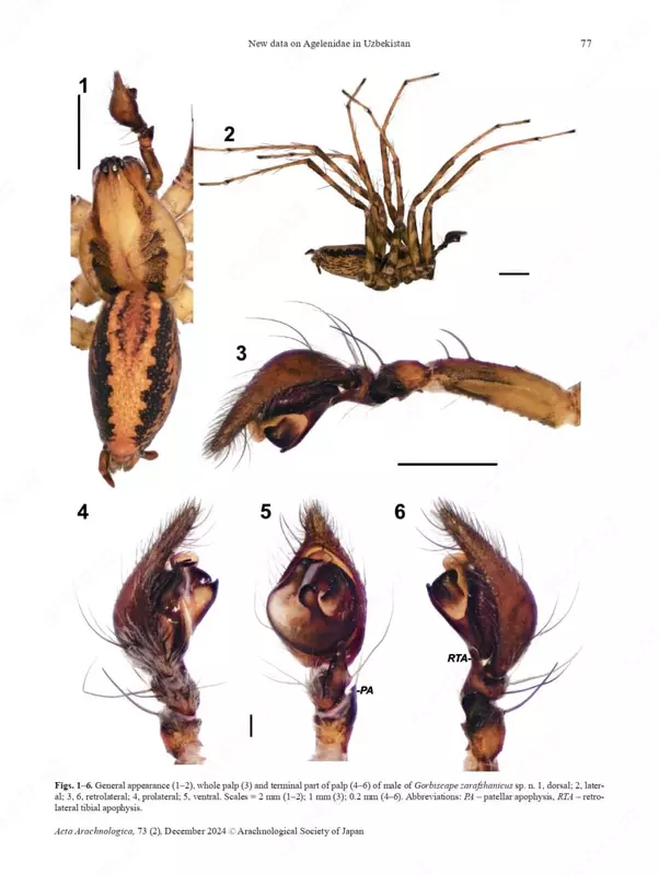 Dezinfeksiya xizmati 24/7 Dezinseksiya