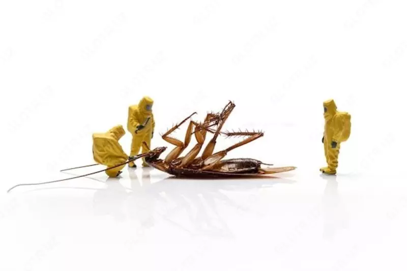 Dezinfeksiya xizmati 24/7 по запросу - Dezinfeksiya