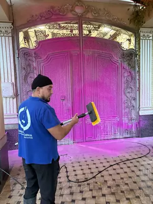 Uborka kvartira Dezinfeksiya