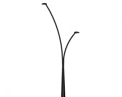 Narx so'rov asosida DSL 004/10/IB ikki shoxli piyodalar uchun tashqi yoritish ustuni