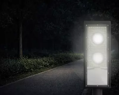 LM-LFS LED ko‘cha yoritgichi Chakana savdo